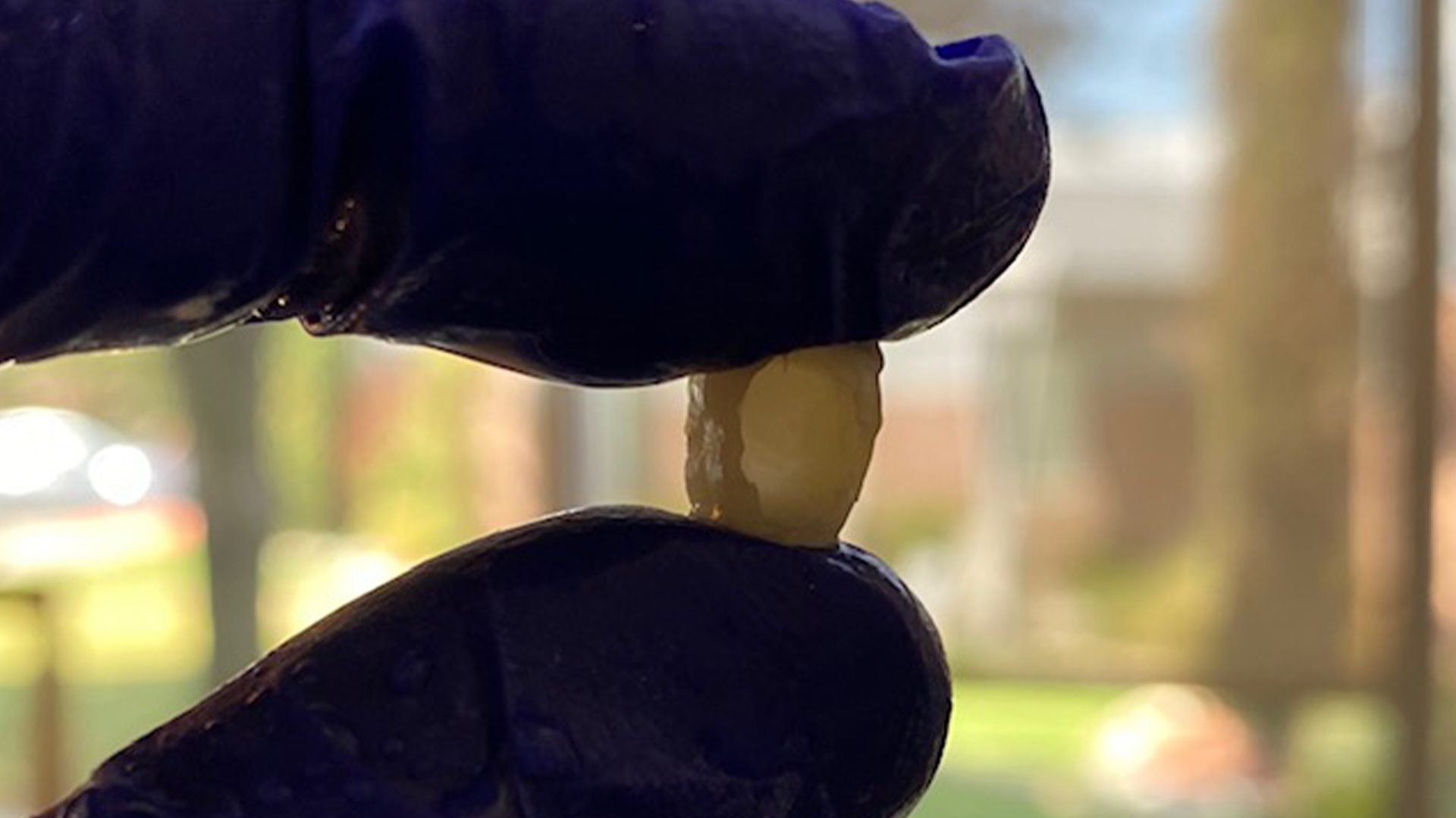 Fabricating a great provisional in an efficient manner: The importance of a good temporary